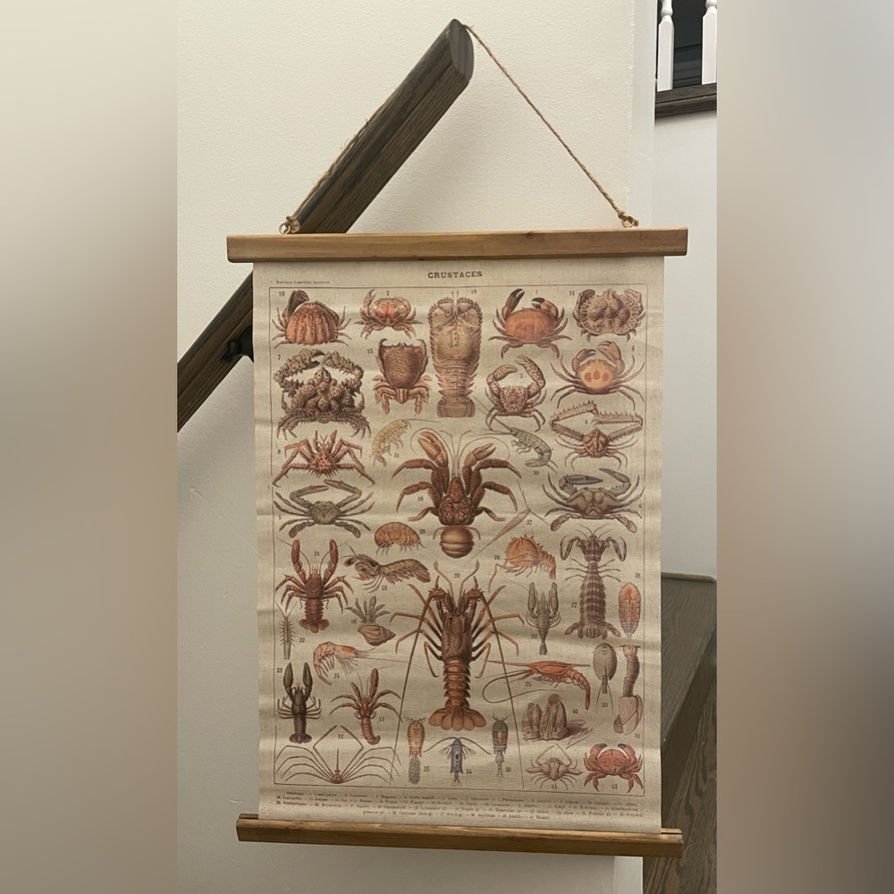 Vintage Style Crustacean Wall Hanging